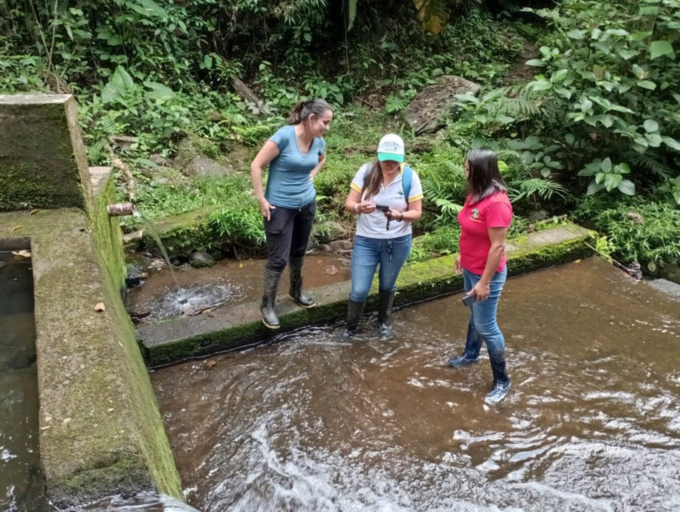 Técnicos de Gestión Ambiental realizan actividades en territorio enmarcadas en los proyectos de la Ventana B del PdIPPz y de las Escuelas de Campo de Bambú.