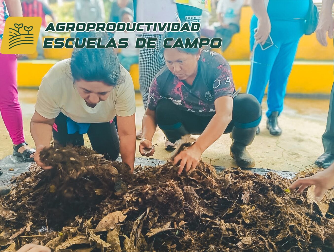En nuestras Escuelas de Campo "se aprende haciendo".