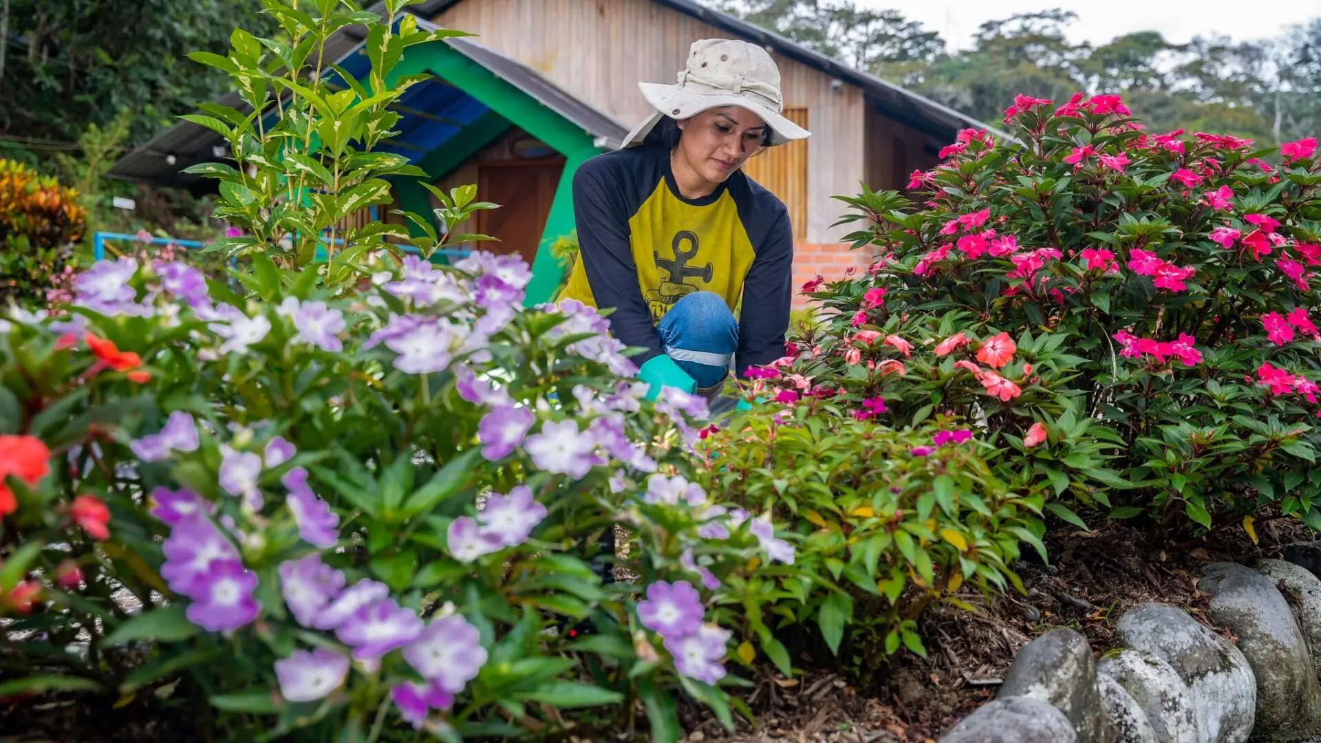 Estación Biológica Pindo Mirador vinculada con la educación ambiental.