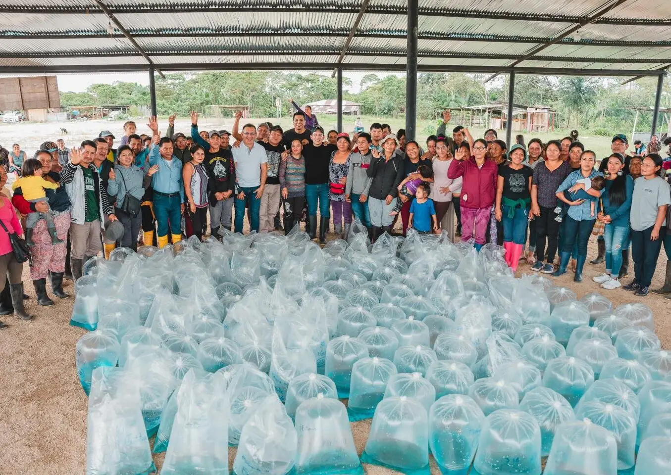 Entregamos 45.000 alevines de Tilapia en Runallakta.