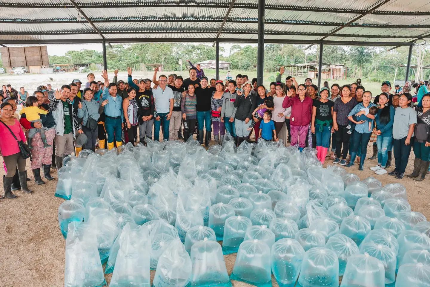 Entregamos 45.000 alevines de Tilapia en Runallakta.