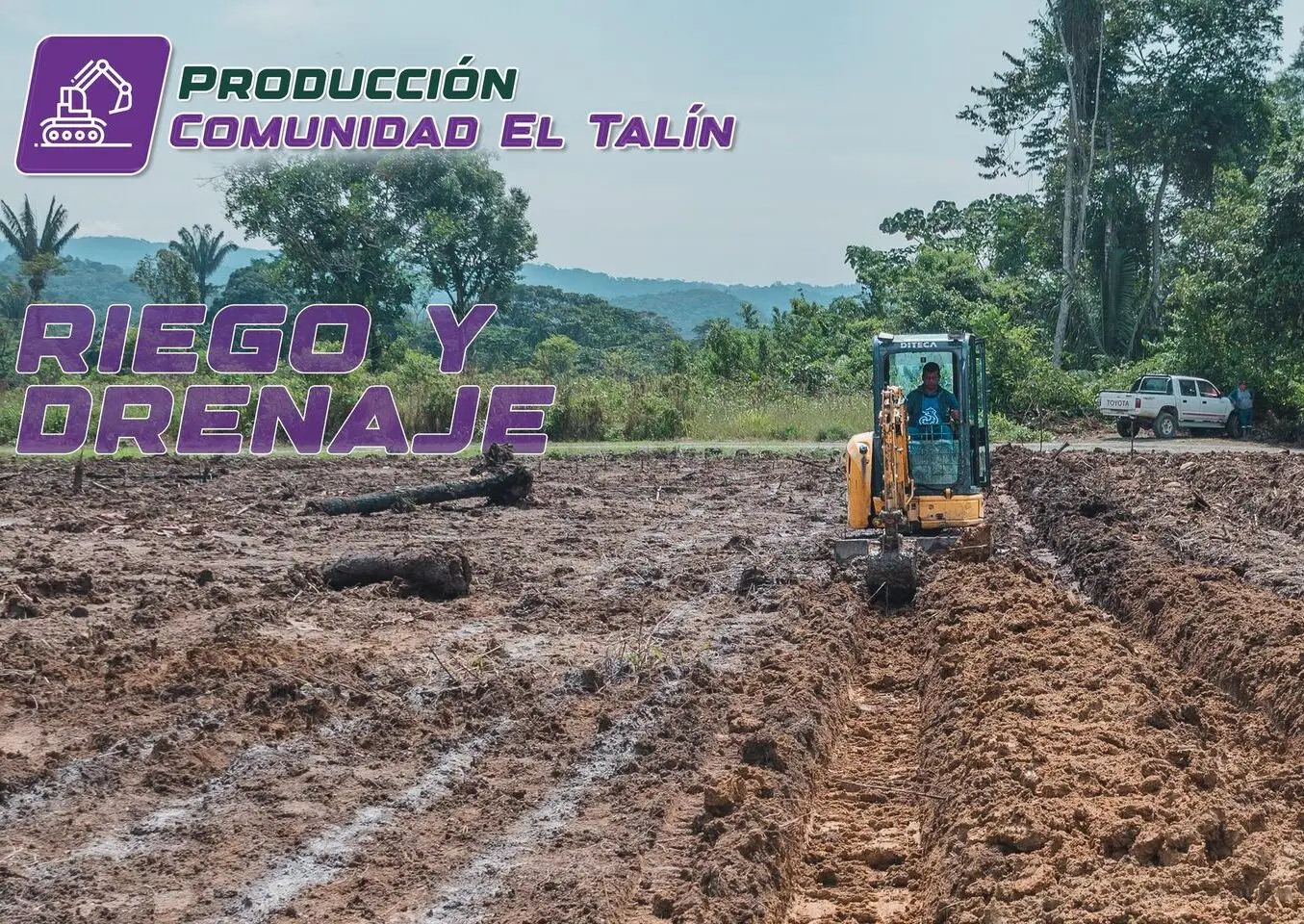 Apoyamos a los productores de El Talín.
