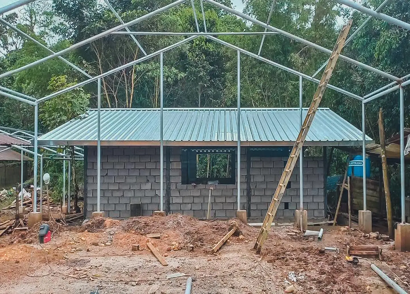 Más plantas para reforestar Pastaza.