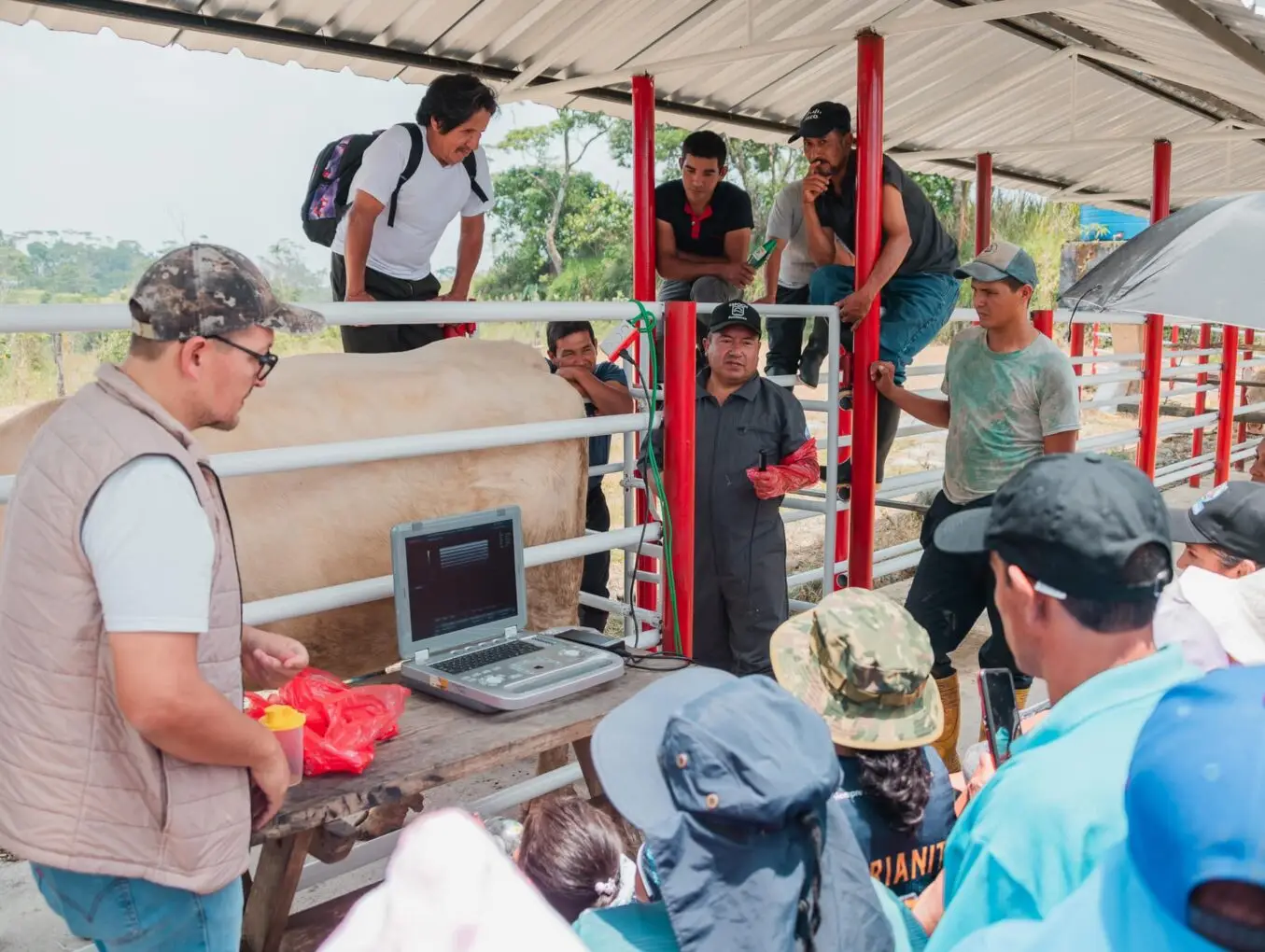 45 productores de la I Escuela de Campo de Ganaderos de El Triunfo.