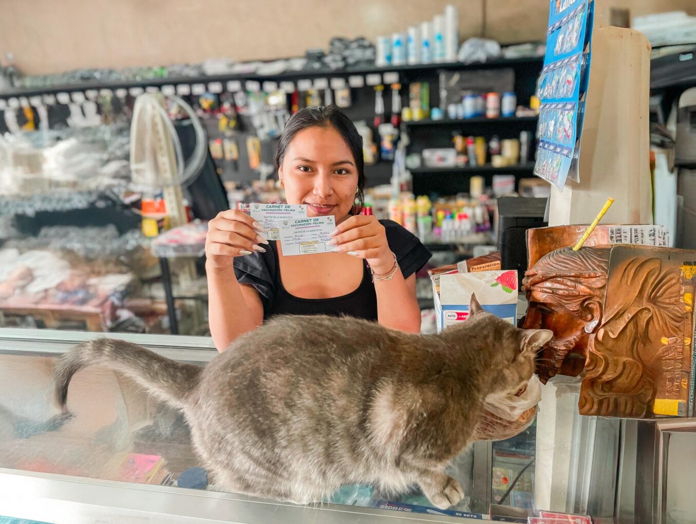 Nuestros mininos son atendidos por el Gobierno de Pastaza