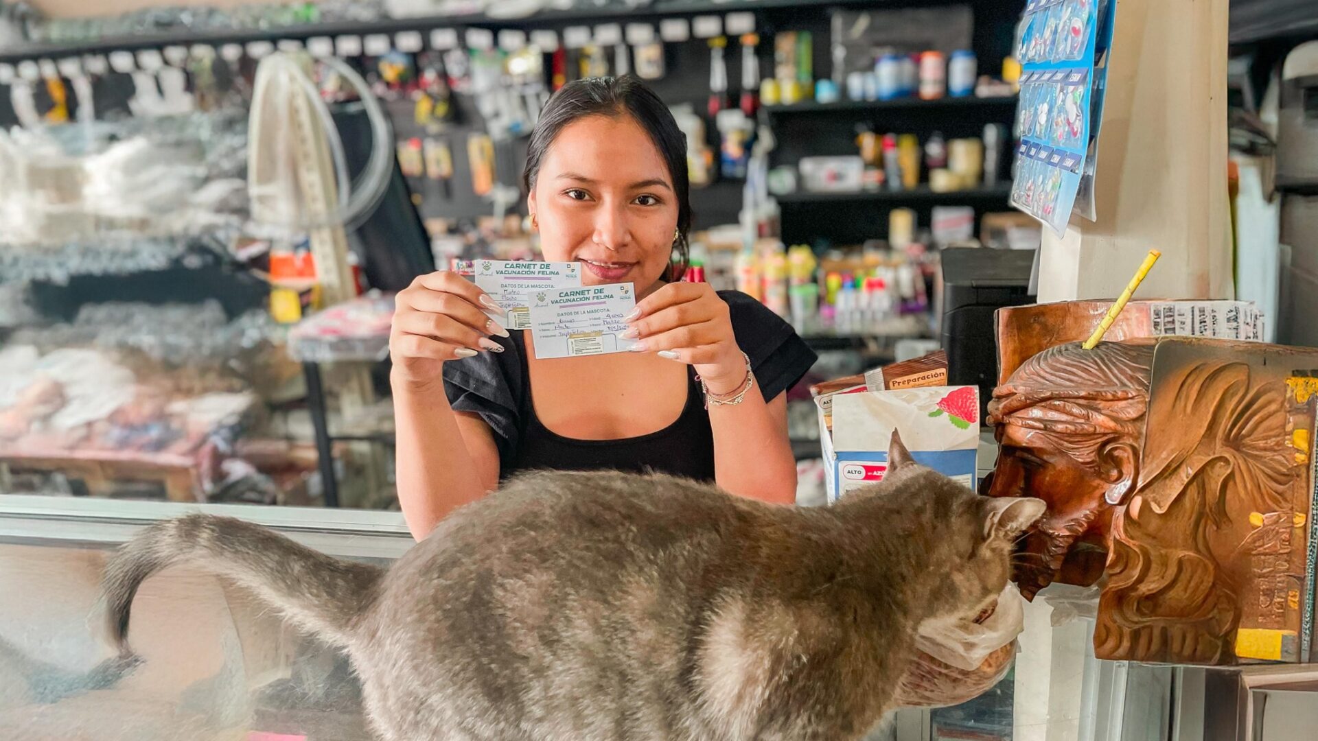 Nuestros mininos son atendidos por el Gobierno de Pastaza