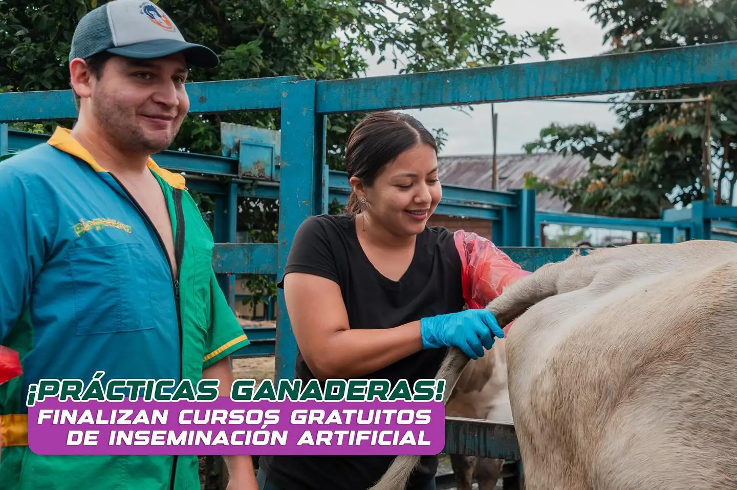 Con éxito finalizó el curso de inseminación artificial que incluyó una clase teórica y dos prácticas en campo